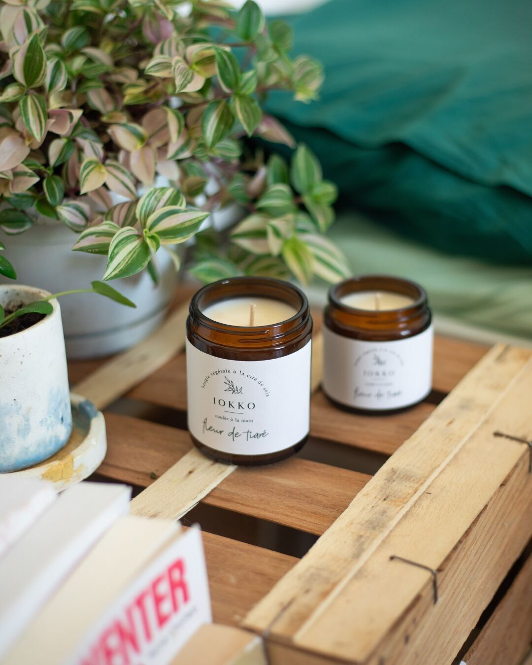 Duftkerze mit Tiaré-Blume, Naturwachs – 3 Größen zur Auswahl