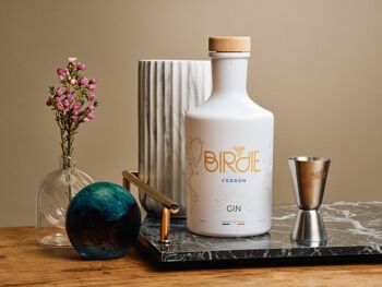 Gin Birdie Cedrón 2