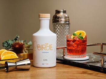 Gin Birdie Cedrón 3