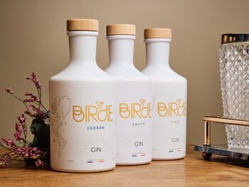 Gin Birdie Cedrón 4