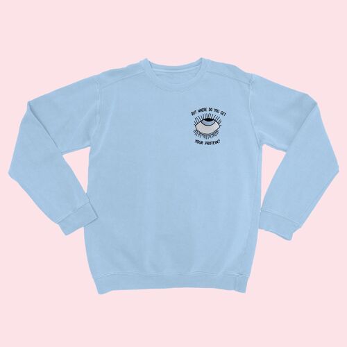 EYEROLL Embroidered Unisex Sweater Sky Blue