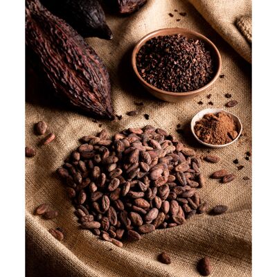 CHOCOLAT EN POUDRE SUCRE A 20%