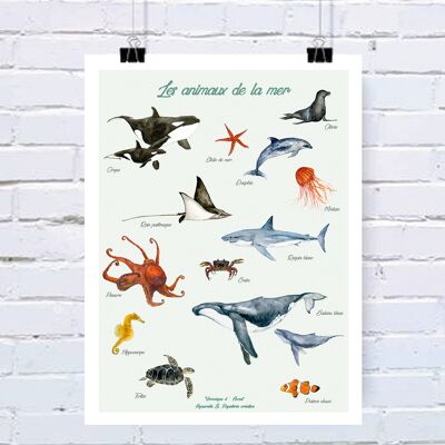 Affiche Les animaux de la mer