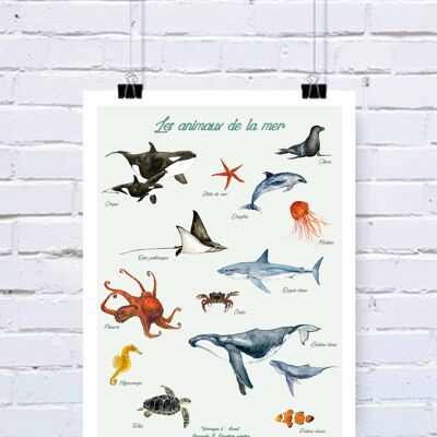 Affiche Les animaux de la mer