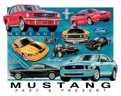 US Blechschild Mustang Chronology Collage