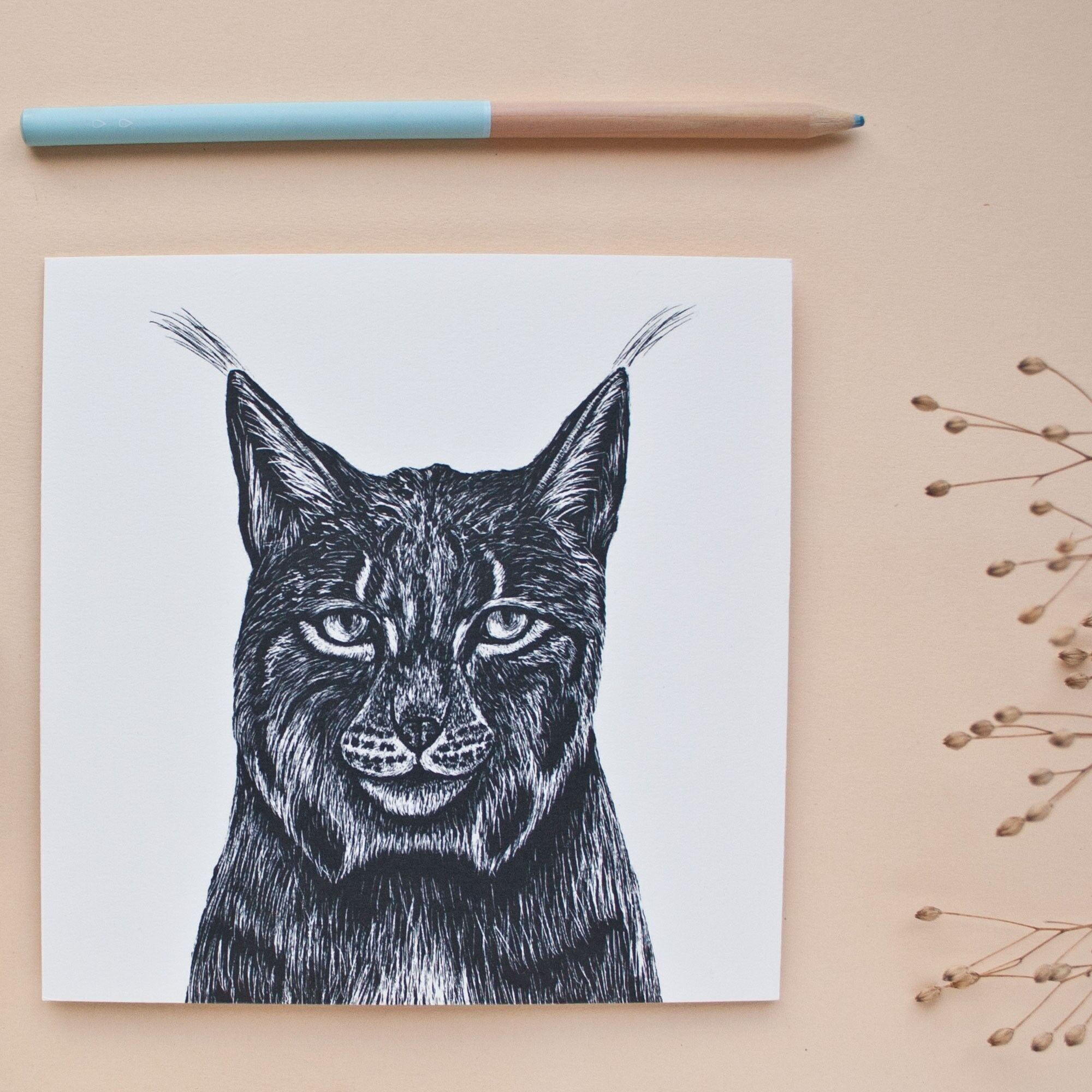 Cartolina | lince