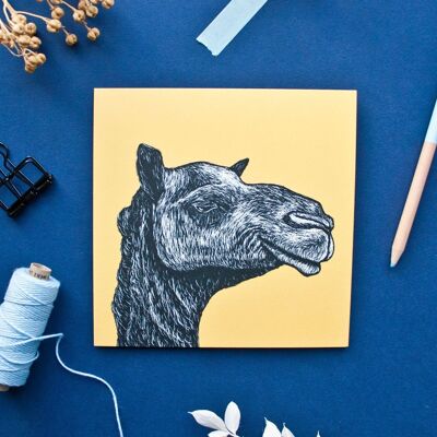 Carte postale | chameau