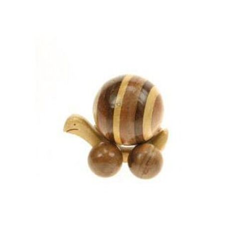 Small mixed wood snail (ASH215)