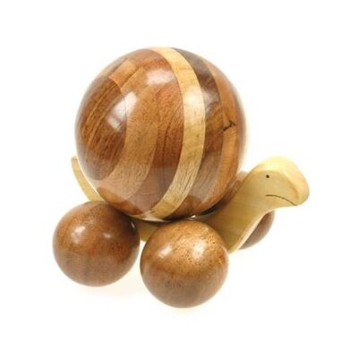 Large mixed wood snail (ASH216)
