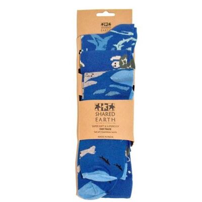 3 pairs of bamboo socks, sharks seals turtles, Shoe size: UK 3-7, Euro 36-41 (ASPA06M)