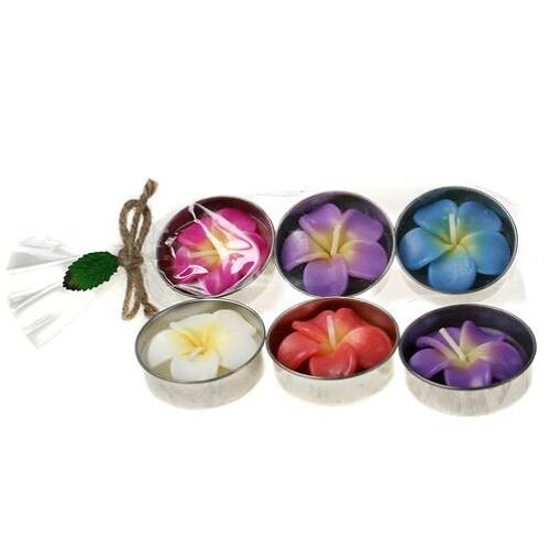 Pack of 3 asstd large t-lites, frangipani (BARF1800)