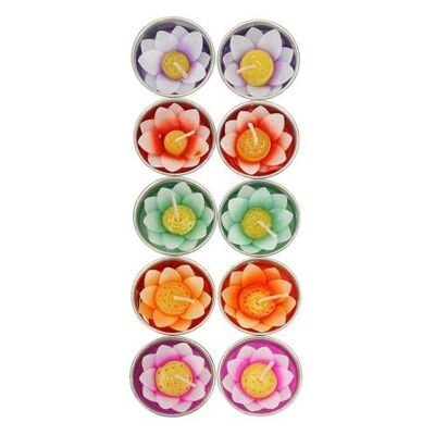 Pack of 10 scented lotus flower t-lights (BARF811)