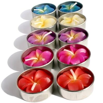 Scented t-lites x 10 frangipani (BARF821)