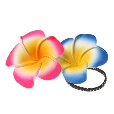 Flower hairband asstd colours (BAY1804)