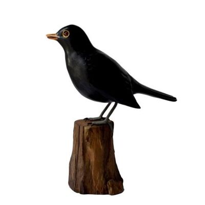 Blackbird on tree trunk (BNB008)