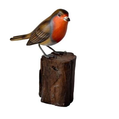 Robin on tree trunk (BNB009)