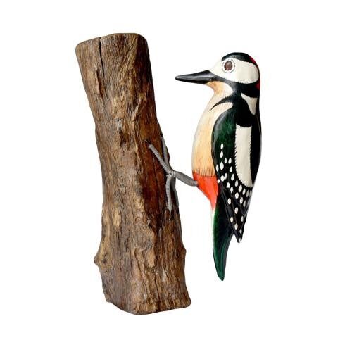 Spotted woodpecker on tree trunk (BNB010)