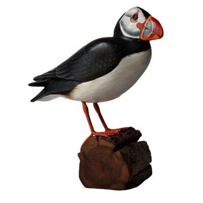 Puffin on tree trunk (BNB012)