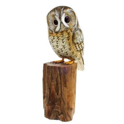 Tawny owl on tree trunk 19cm (BNB015)