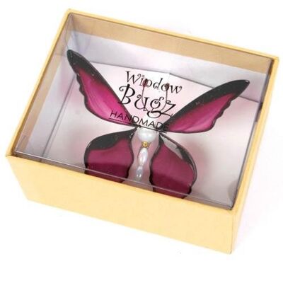 Bugz gift box (Bug not included) (BUGZ00)