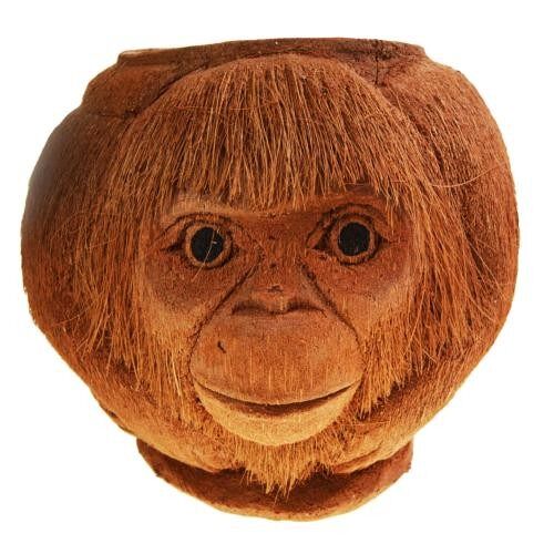 Coconut planter orangutan (CID003)