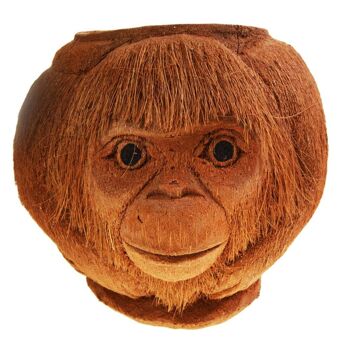 Orang-outan planteur de noix de coco (CID003) 2