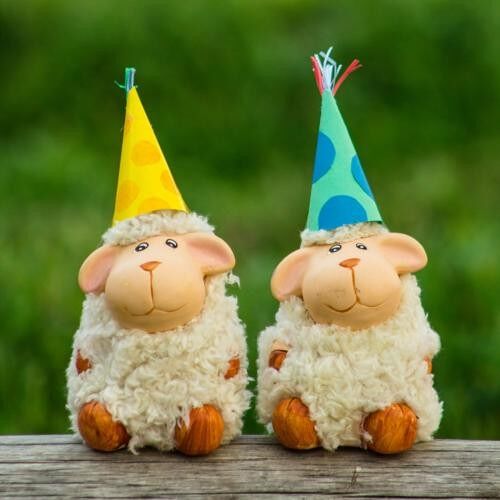 Greetings card, 2 sheep wearing hats (FM235)