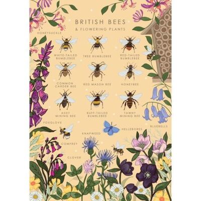 Greetings card "British bees" 12x17cm (HOG57AS103)