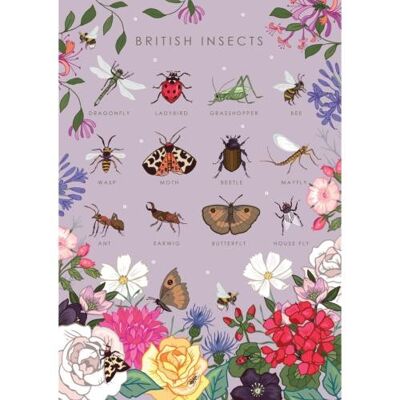 Greetings card "British insects" 12x17cm (HOG57AS104)
