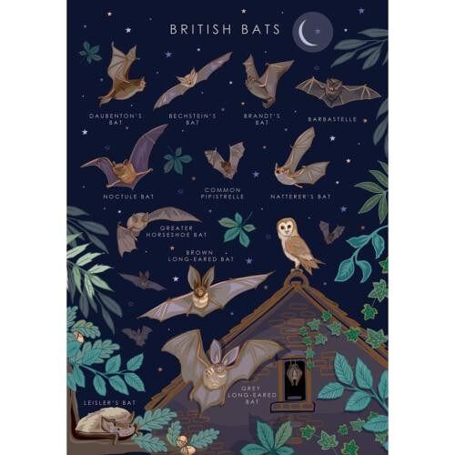 Greetings card "British bats" 12x17cm (HOG57AS107)