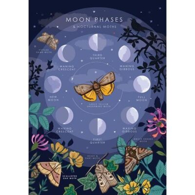 Greetings card "Moon Phases" 12x17cm (HOG57AS113)