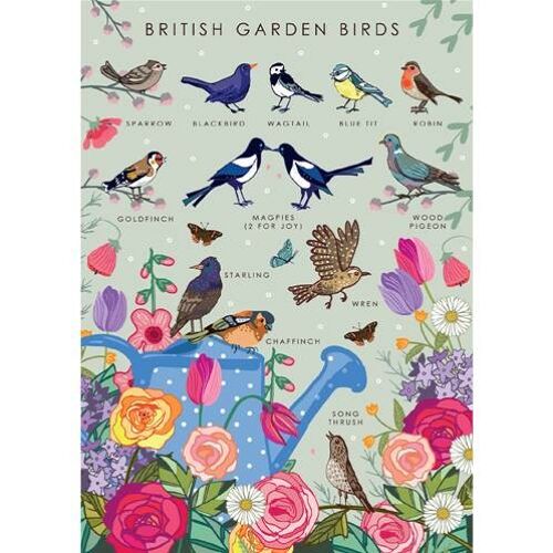 Greetings card "British garden birds" 12x17cm (HOG57AS57)
