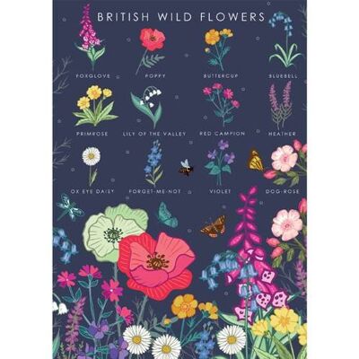 Greetings card "British wild flowers" 12x17cm (HOG57AS58)