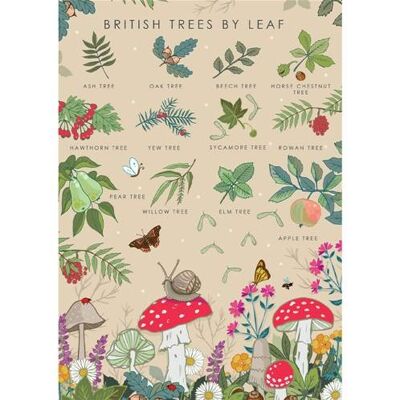 Greetings card "British trees" 12x17cm (HOG57AS60)