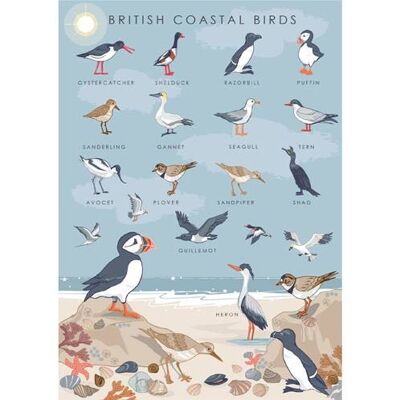 Greetings card "British coastal birds" 12x17cm (HOG57AS62)
