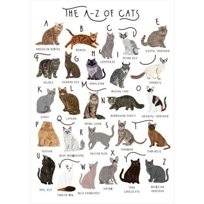 Greetings card "A-Z of cats" 12x17cm (HOG57BB53)