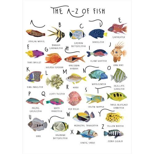 Greetings card "A-Z of Fish" 12x17cm (HOG57BB60)