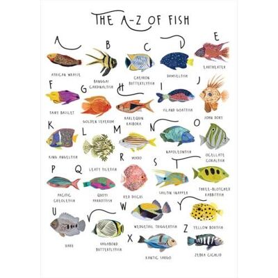 Greetings card "A-Z of Fish" 12x17cm (HOG57BB60)