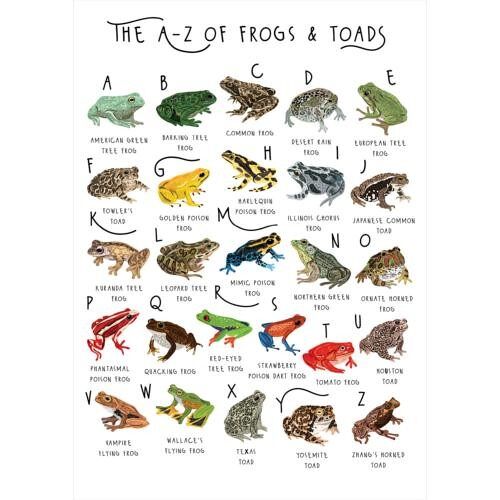 Greetings card "A-Z of Frogs & Toads" 12x17cm (HOG57BB69)