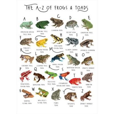 Greetings card "A-Z of Frogs & Toads" 12x17cm (HOG57BB69)