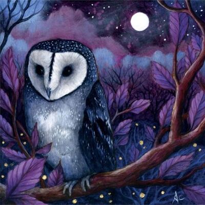 Greetings card "Midnight Owl" 16x16cm (HOGAC122)