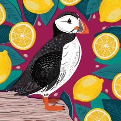 Greetings card "Puffin and Lemons" 16x16cm (HOGBEA128)
