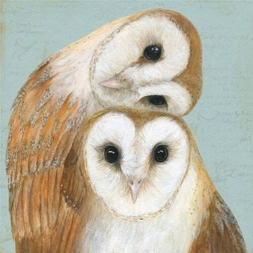 Greetings card "Two Barn Owls" 16x16cm (HOGCOR107)