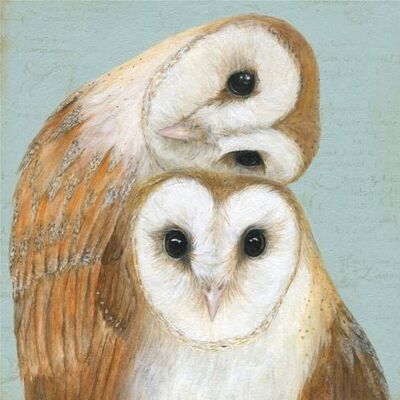 Greetings card "Two Barn Owls" 16x16cm (HOGCOR107)