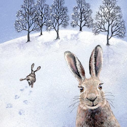 Greetings card "The Happy Hare" 16x16cm (HOGHM131)