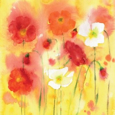 Greetings card "Red, white and orange poppies" 16x16cm (HOGRT134)