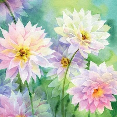 Greetings card "Chrysanthemums" 16x16cm (HOGRT138)