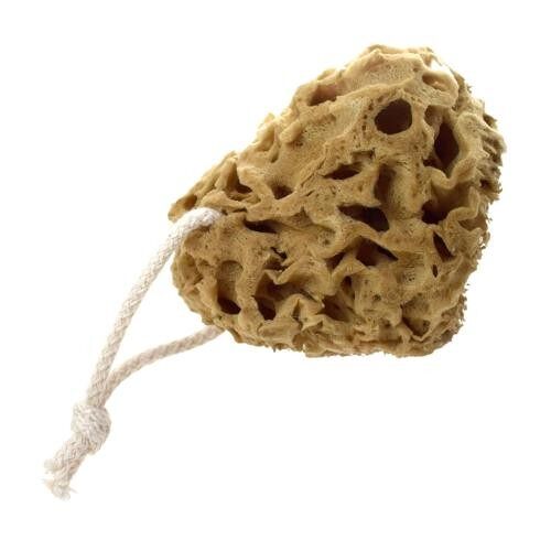 Honeycomb sea sponge, eco-friendly, zero plastic (ML012)