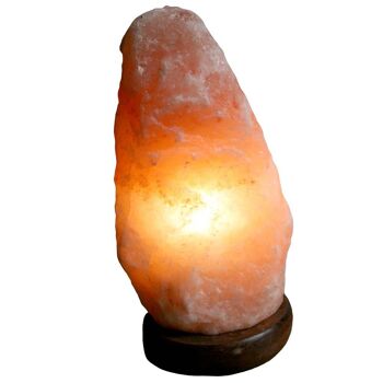 Lampe à sel de l'Himalaya 1,5-2kg environ 18x10cm (PAK000) 3