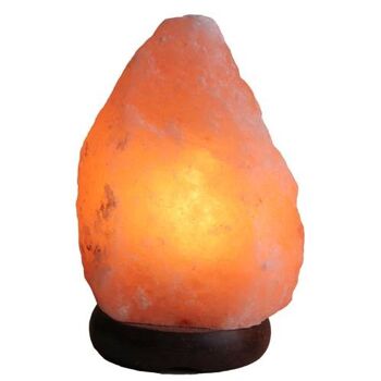 Lampe à sel de l'Himalaya 2-3kg environ 19x13cm (PAK001) 1